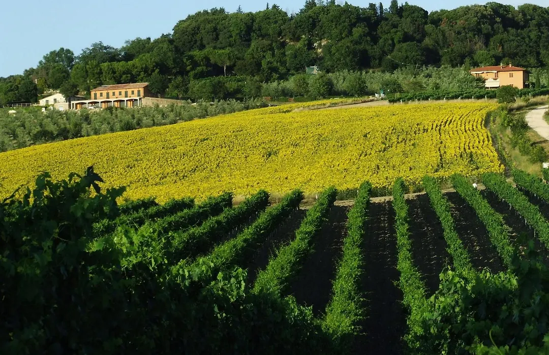 Bio Agriturismo Il Torrione-1